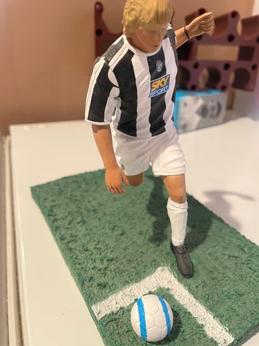 Playwell stars pavel nedved - playwell,
